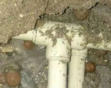 青秀测漏水多少钱