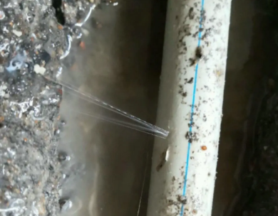 青秀测漏水哪家好