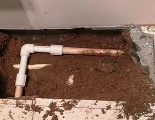 青秀测漏水哪家好