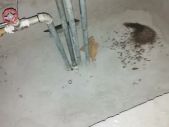 青秀卫生间测漏水价格明细